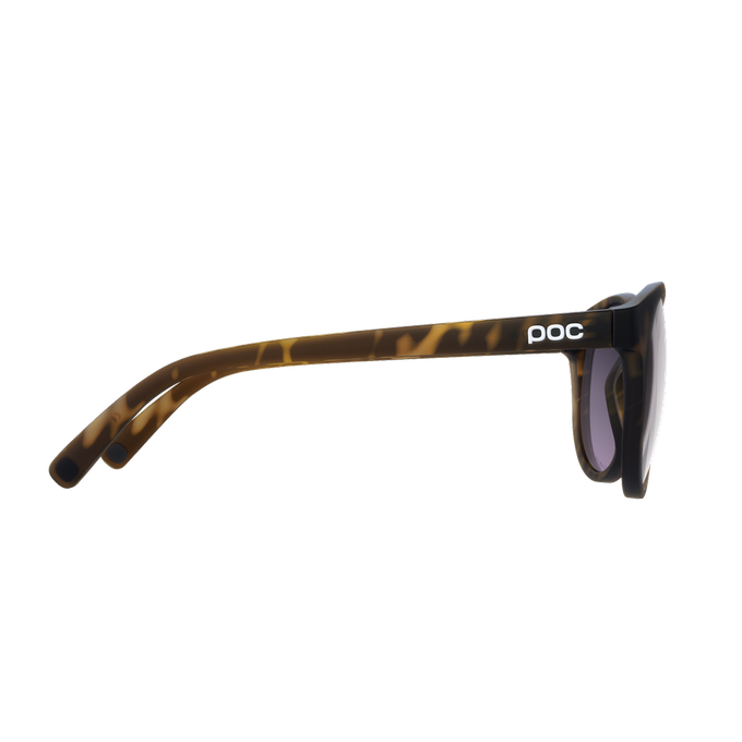 Sunglasses POC Know Tortoise Brown - 2024/25