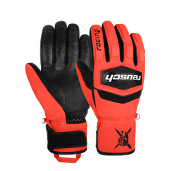 Gloves Reusch Worldcup Warrior R-TEX XT - 2024/25