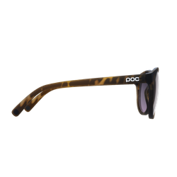 Sunglasses POC Know Tortoise Brown - 2024/25