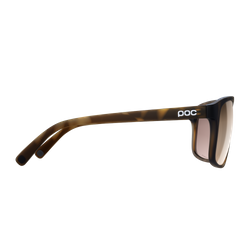 Sunglasses POC WILL Tortoise Brown - 2024/25