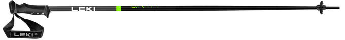 Skistöcke LEKI QNTM Green - 2024/25