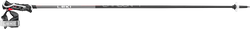 Skistöcke LEKI Carbon 14 3D - 2024/25