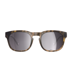 Sonnenbrille POC Require Tortoise Brown - 2024/25