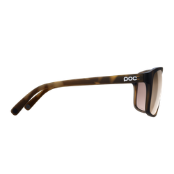 Sonnenbrille POC Will Tortoise Brown/Clarity Trail/Partly Sunny Silver