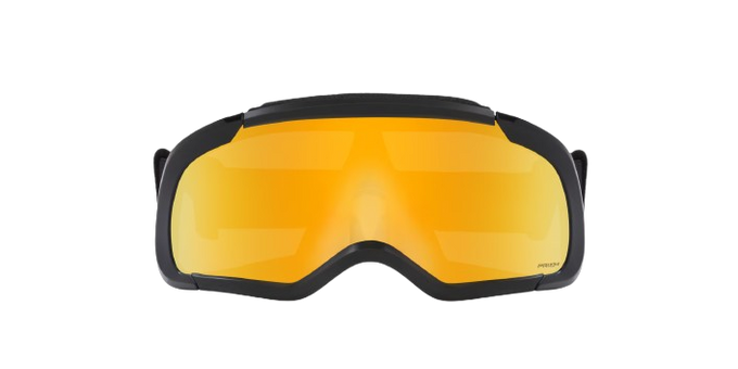 Goggles Oakley Flexscape Black Frame / Prizm 24K Iridium Lenses