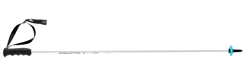 Kije HEAD Worldcup SL Junior - 2023/24