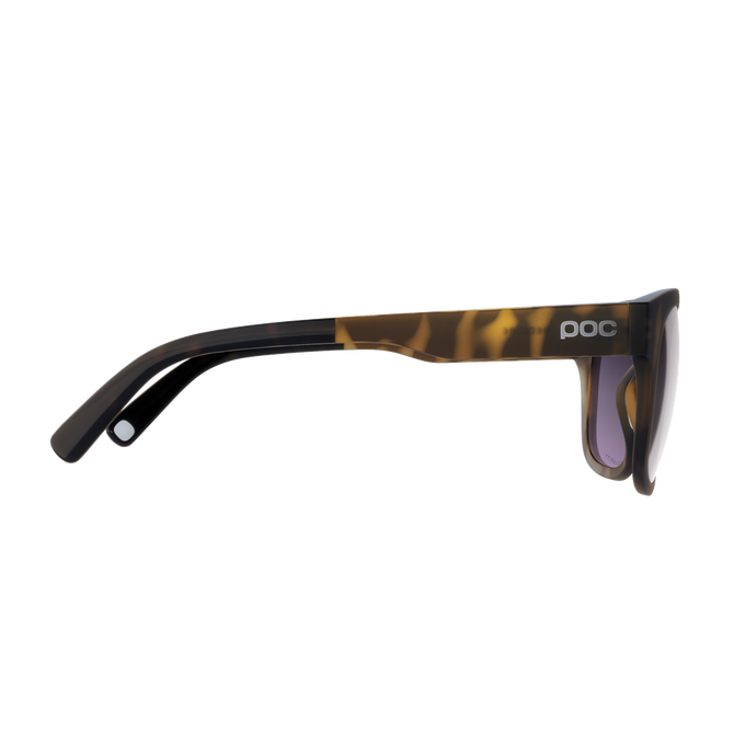 Sonnenbrille POC Require Tortoise Brown - 2024/25